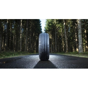 Michelin Pilot Sport 4 255/40 R19 100W