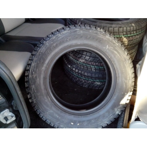 Bridgestone Blizzak DM-V1 255/60 R17 106R