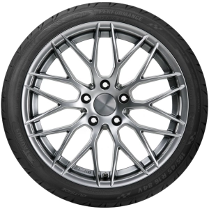 Taurus High Performance 195/65 R15 91V