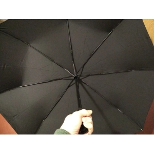 Xiaomi Mijia Automatic Umbrella