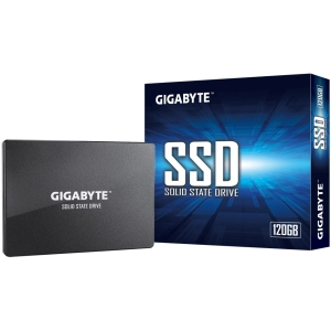 Gigabyte GP-GSTFS31256GTND