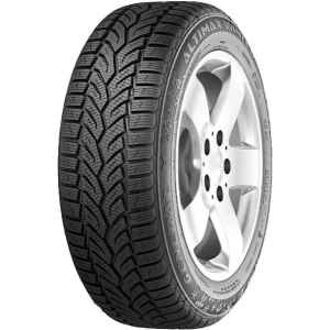 Pneus gerais Altimax Winter Plus 185/65 R14 86T