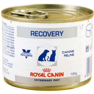 Ração para cães Royal Canin Recovery 0,195 kg