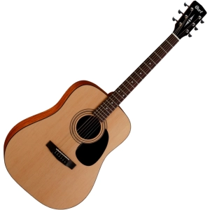 Guitar Cort AD810